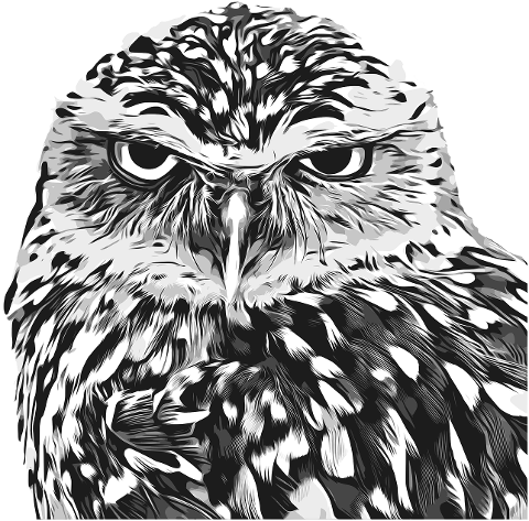 owl-nocturnal-bird-wild-animal-7847463