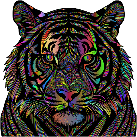 tiger-animal-feline-big-cat-head-8707316