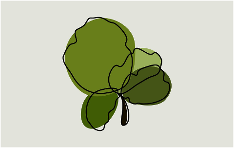 flowers-green-plant-floors-nature-9174978