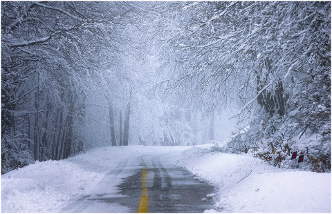 road-forest-snow-winter-sunrise-5903402