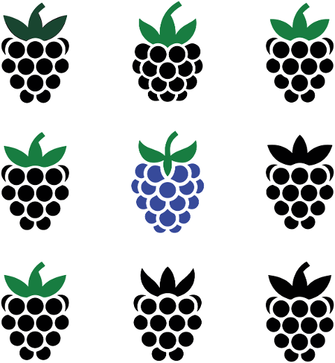 black-berry-fruit-food-healthy-9837574