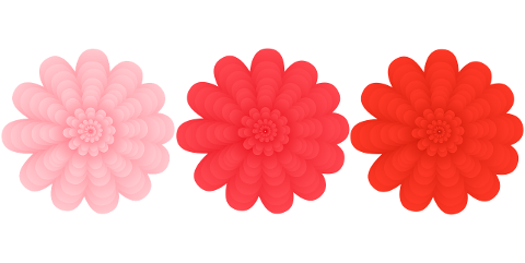 flowers-blossoms-floral-digital-art-7255471