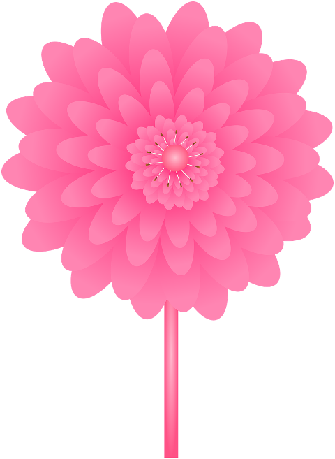 pink-flower-petals-drawing-pink-7239235