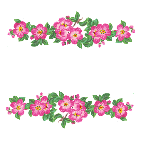 flower-border-cherry-blossom-spring-6873306