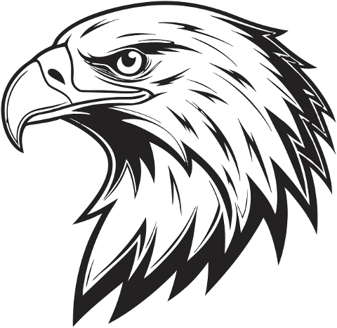 eagle-bird-predator-profile-beak-9830142