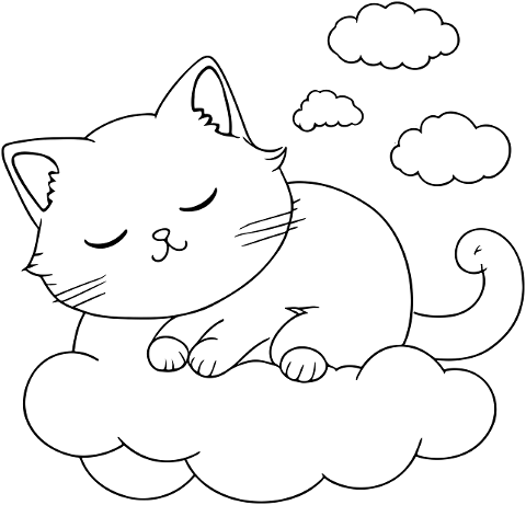 cat-kitten-animal-pet-kitty-7599211