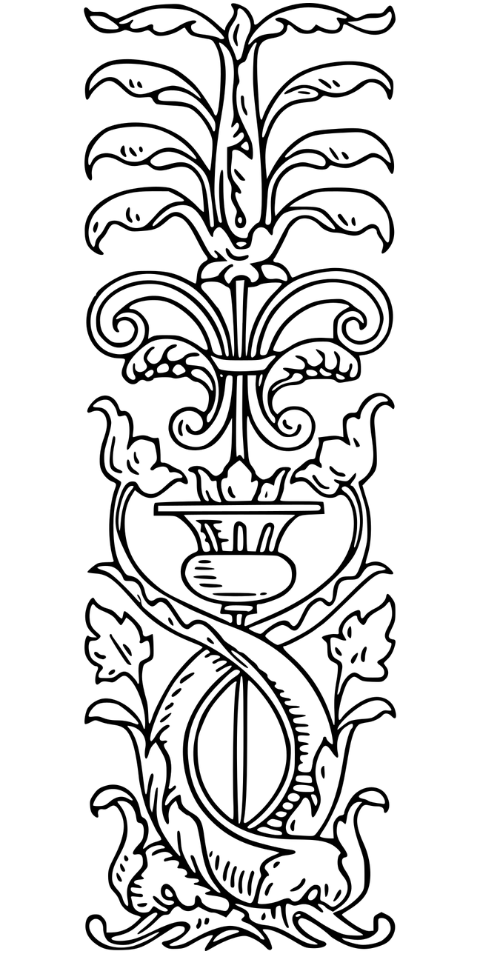 divider-flourish-line-art-separator-7631819