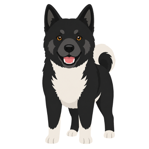 akita-black-dog-pet-friendly-dog-10355366