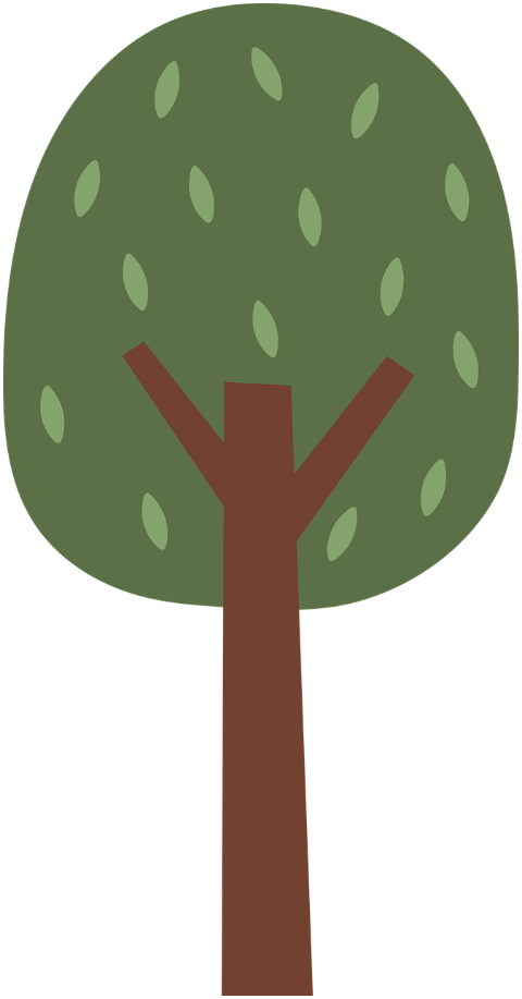 tree-nature-wood-forest-branches-9602439