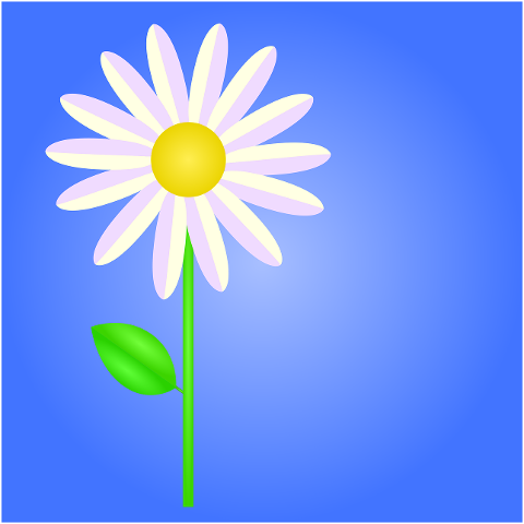 flower-daisy-nature-blossom-7243118