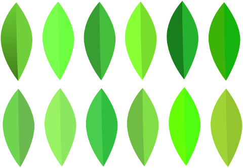 leaves-pattern-art-cutout-plant-7199341