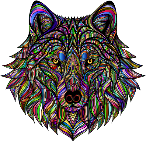 wolf-animal-predator-mammal-canine-8889032
