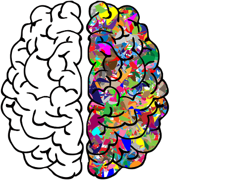 brain-mind-anatomy-2750415