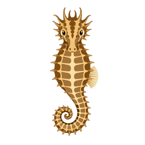 seahorse-stylized-bronze-color-10366719