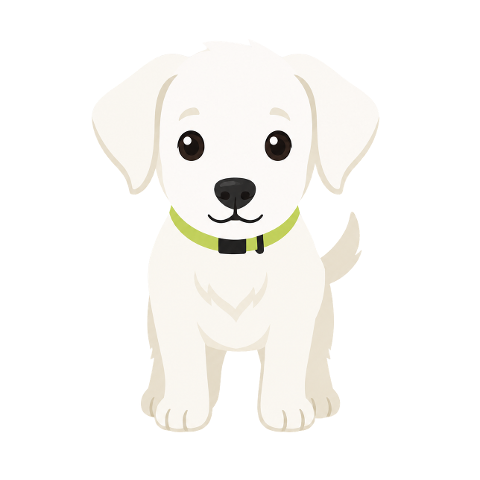 puppy-white-dog-cute-dog-dog-collar-10366763