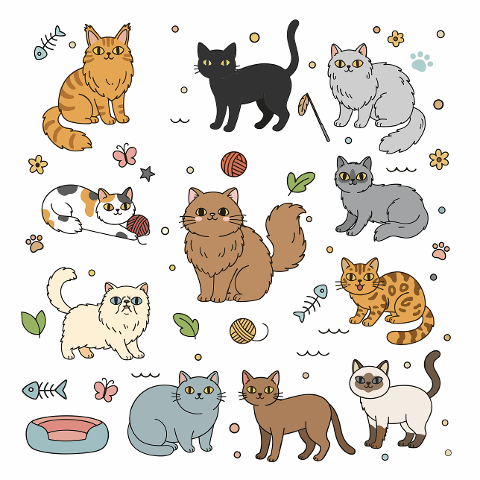 cats-kittens-domestic-cats-9934355