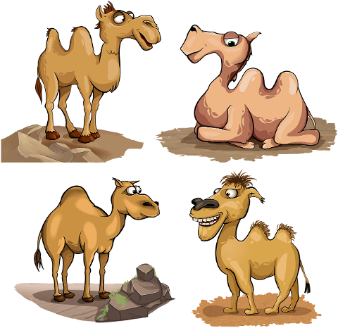 camel-two-humped-desert-sand-7751154