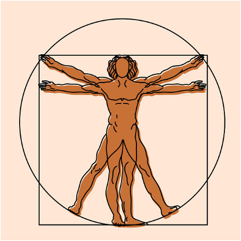 vitruvian-man-human-da-vinci-art-7212326