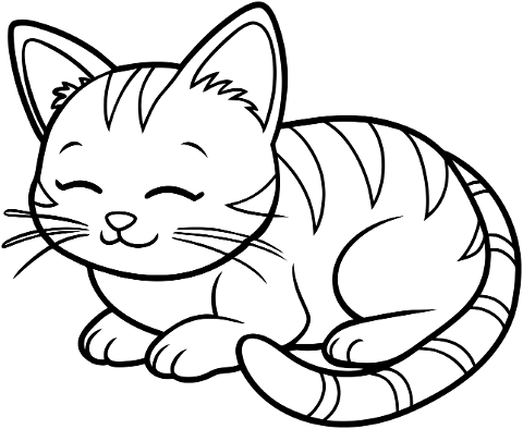 cat-animal-sleeping-cute-feline-9059891