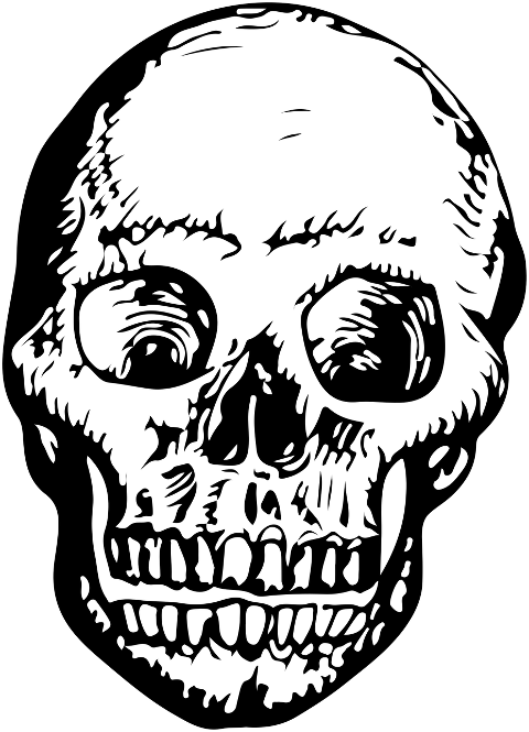 skull-skeleton-bone-head-ink-9921451