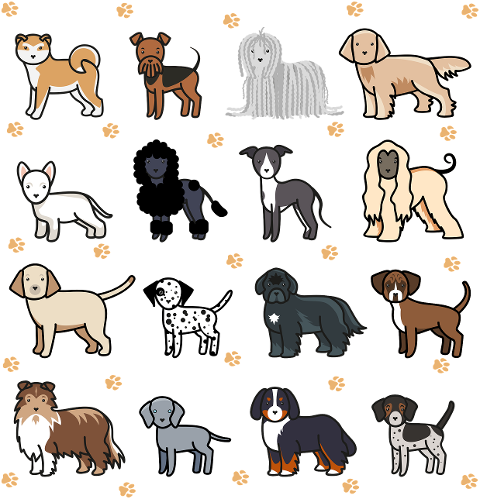 dog-puppy-pet-dog-breeds-breeds-7760218