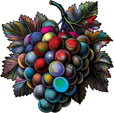 grapes-fruit-plant-food-nature-9556856