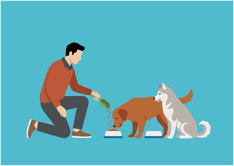 man-dog-feeding-food-bowl-10302488