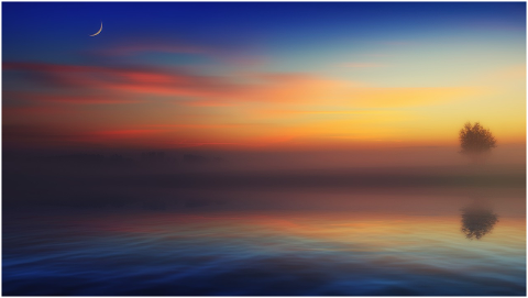 fog-lake-sunset-tree-water-4412948