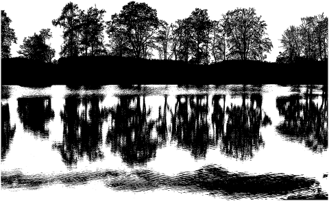 lake-forest-silhouette-reflection-4595401
