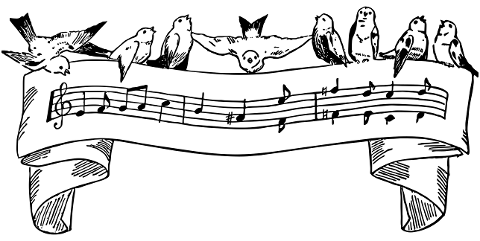 birds-singing-sheet-music-banner-7717268