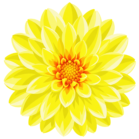 yellow-dahlia-flower-nature-10490075