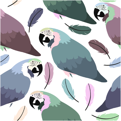 parrot-feather-background-pattern-6349353