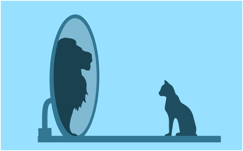 cat-mirror-lion-reflection-5690627