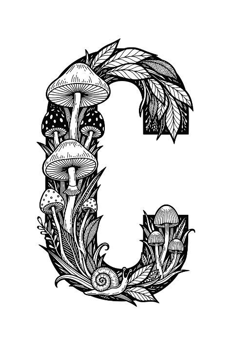mushroom-letter-c-botanical-letter-c-9905435