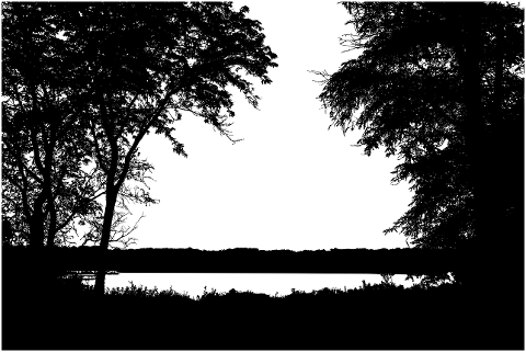 forest-pond-trees-silhouette-6785068