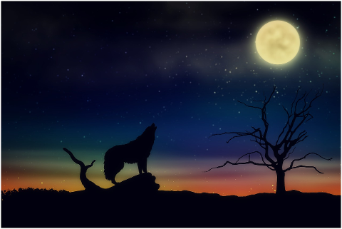 moon-wolf-starry-sky-full-moon-4318556