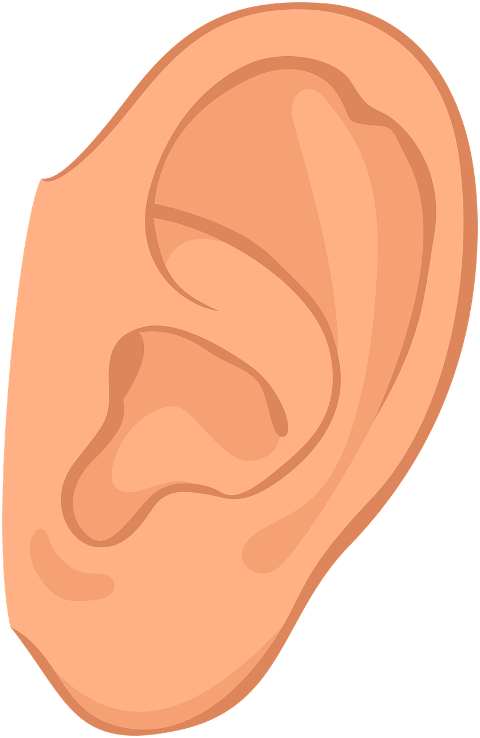 ear-human-person-hear-listen-9663602