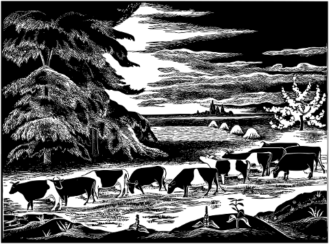 cows-livestock-rural-cattle-bulls-6346897