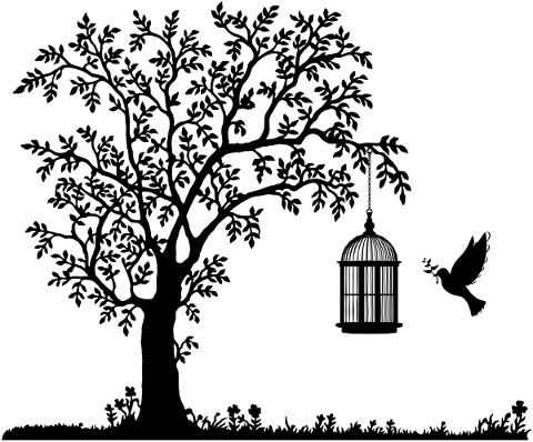 tree-branch-bird-silhouette-4747918