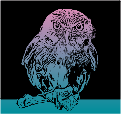 bird-drawing-owl-animal-predator-7157301