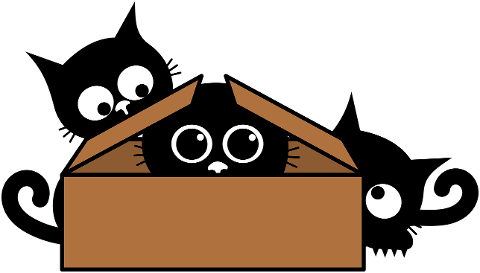 kittens-cats-box-feline-animals-8613388