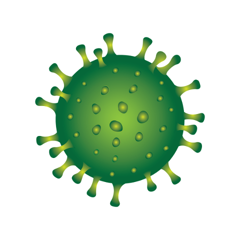 coronavirus-disease-virus-danger-4947717