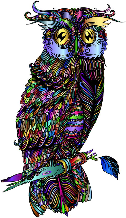 bird-owl-drawing-sketch-art-6539426