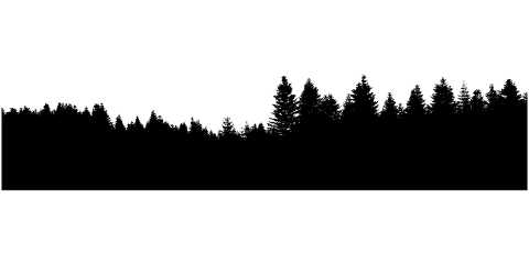 forest-trees-silhouette-branches-4450701