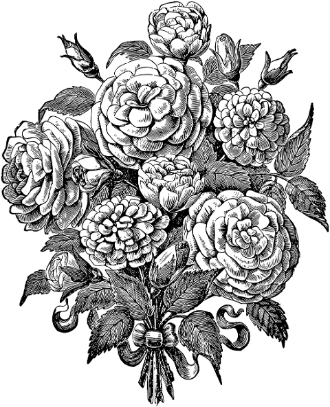 rose-flower-bouquet-line-art-plant-7297603