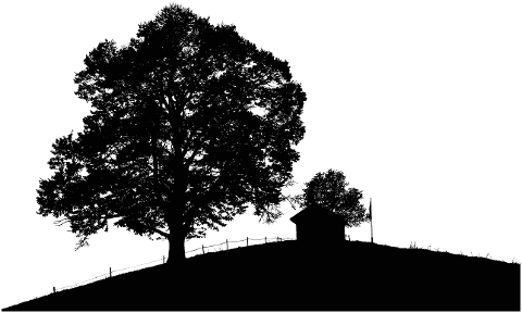trees-landscape-nature-silhouette-8000810