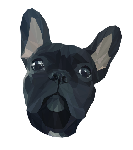 animals-dog-french-bulldog-triangle-4651905