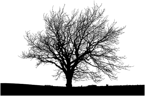 tree-silhouette-landscape-nature-8178297