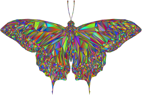 butterfly-low-poly-geometric-7058824