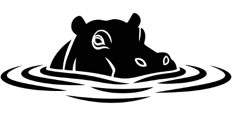 hippopotamus-hippo-animal-wildlife-10011599